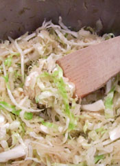 Raw Cabbage and Sauerkraut When First Combined